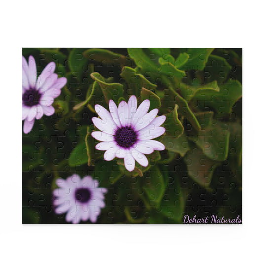 Cape Marguerite African Daisy Serenity Puzzle