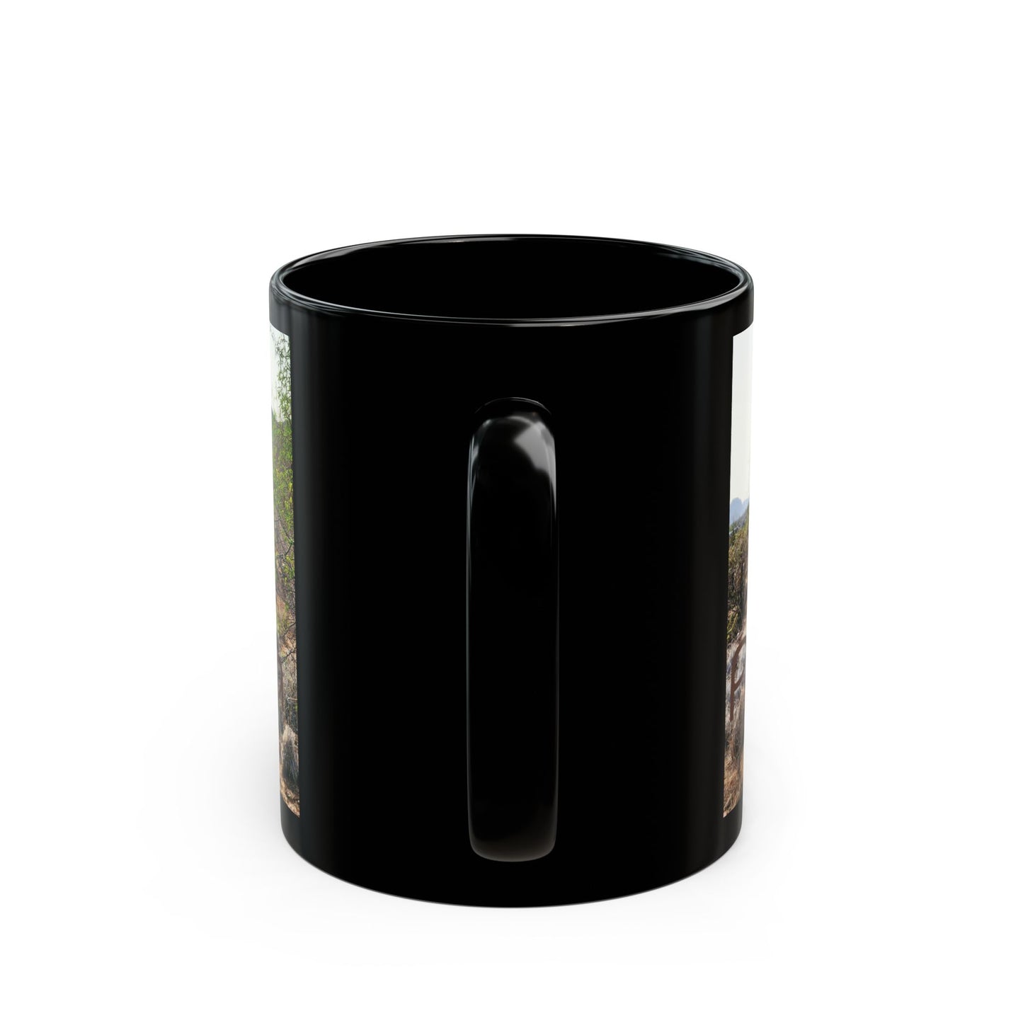 Phoenix, Ariozna Wild Burros Souvenir Mug - 11oz Nature Lover's Coffee Cup