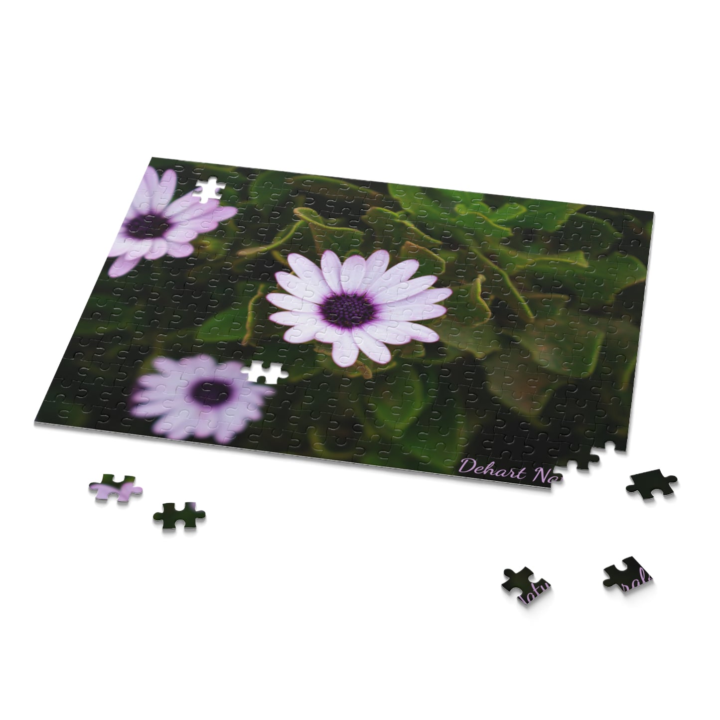 Cape Marguerite African Daisy Serenity Puzzle