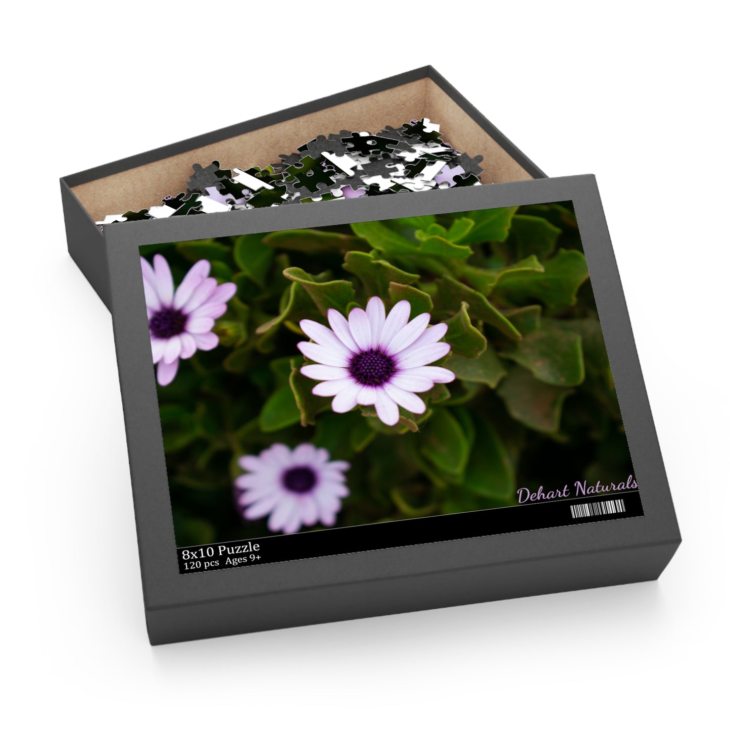 Cape Marguerite African Daisy Serenity Puzzle
