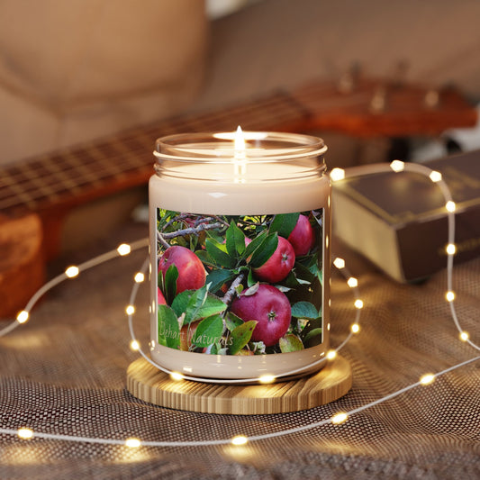 Autumn Orchard Scented Soy Candle