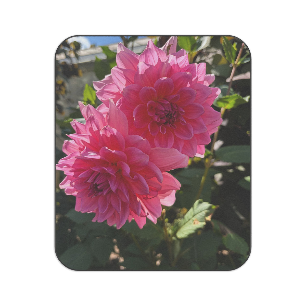 September Dahlia Picnic Blanket — Waterproof Outdoor Mat