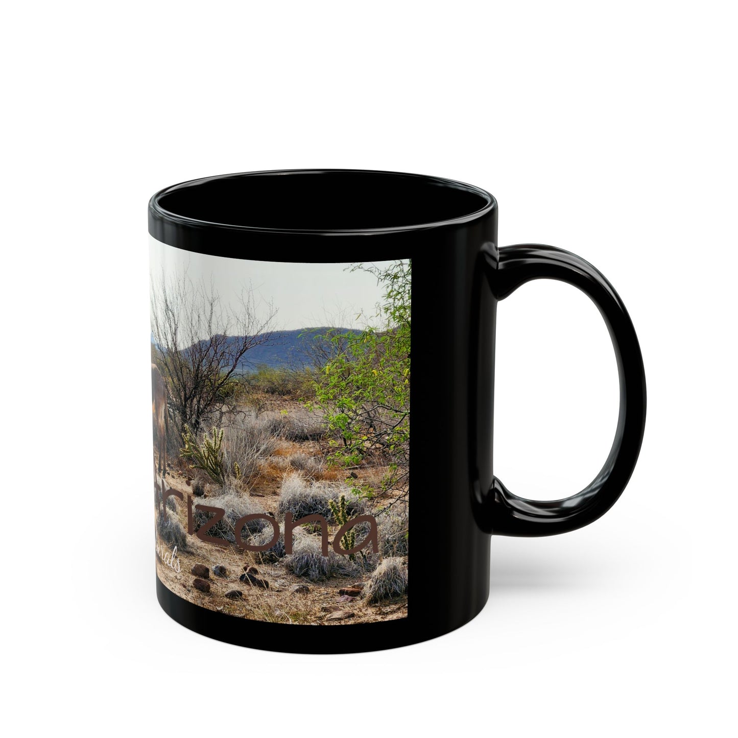 Phoenix, Ariozna Wild Burros Souvenir Mug - 11oz Nature Lover's Coffee Cup