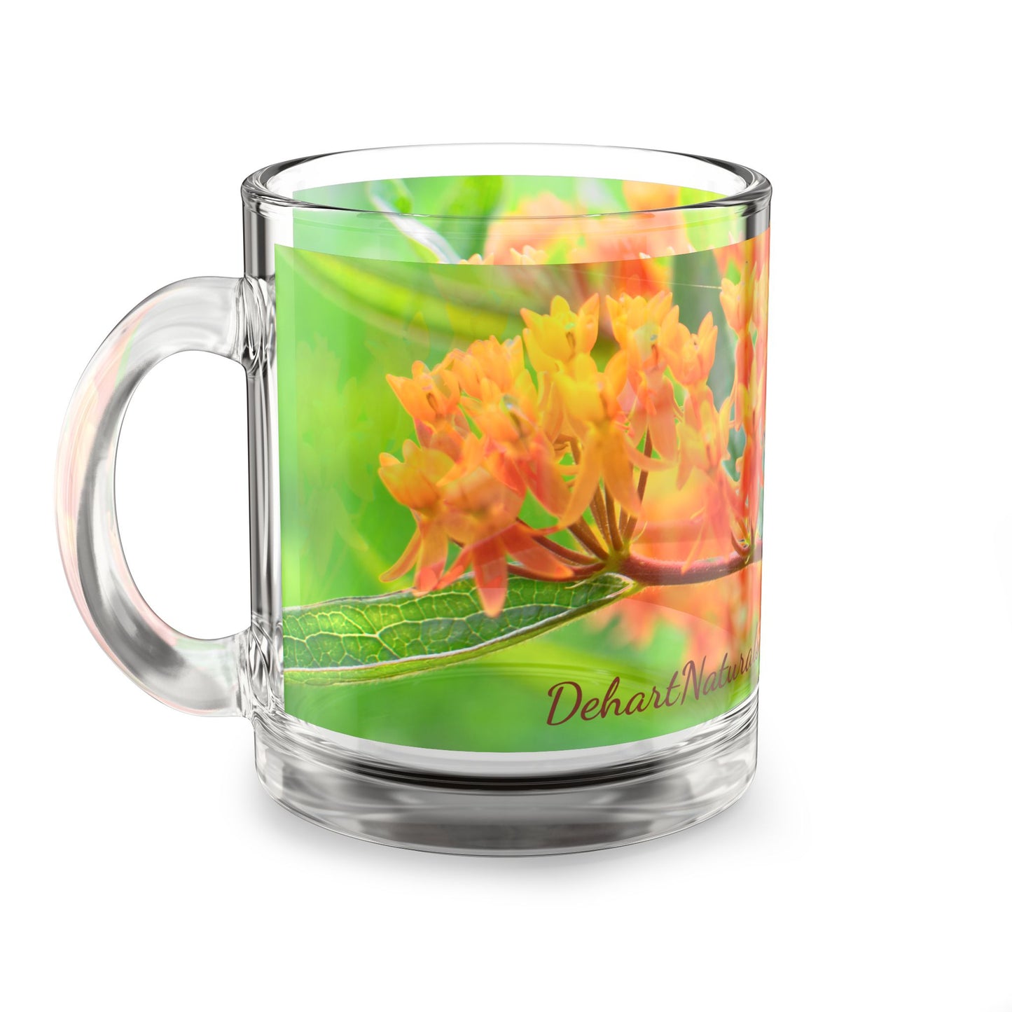 Butterfly Milkweed Glass Mug- In Bloom Collection - 10oz