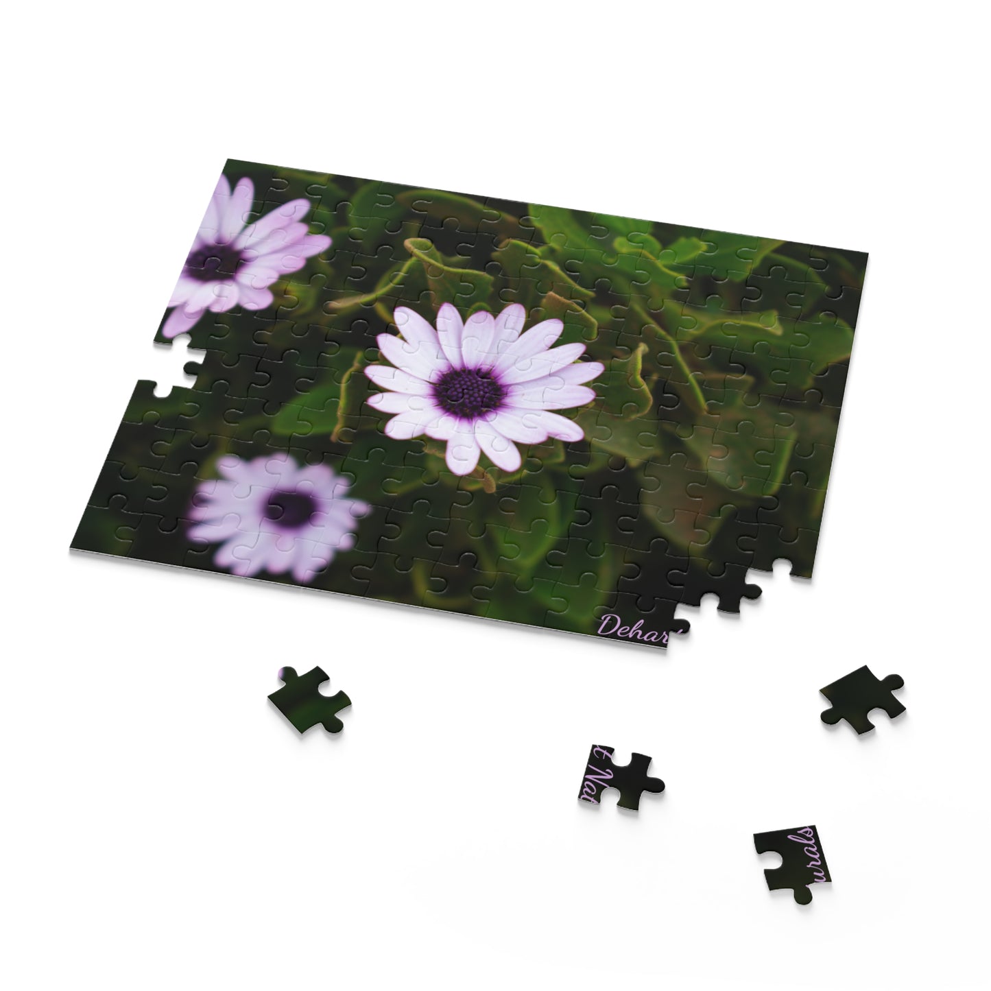Cape Marguerite African Daisy Serenity Puzzle