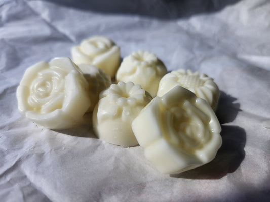Wickless Wilds Wax Melts
