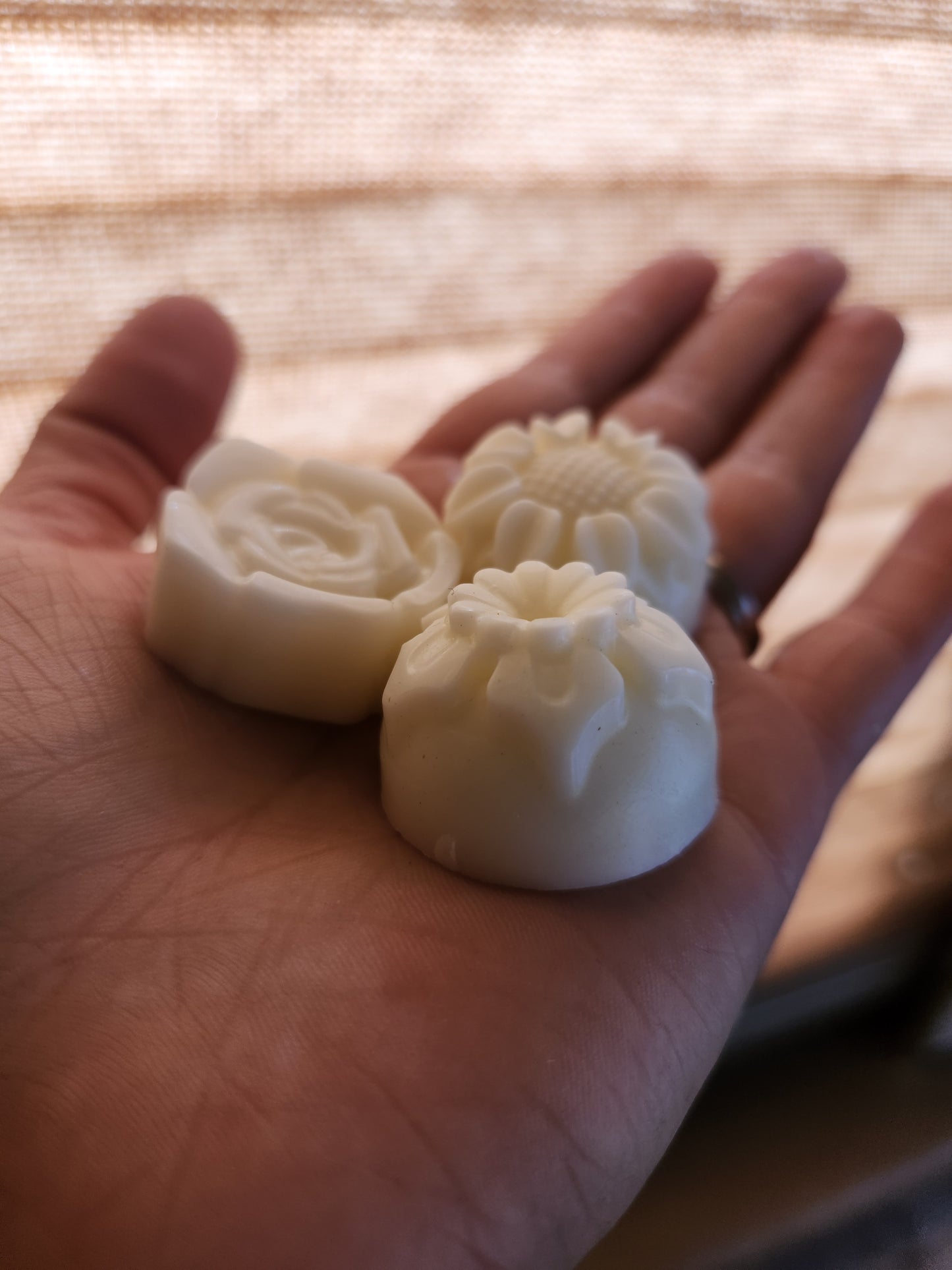 Wickless Wilds Wax Melts