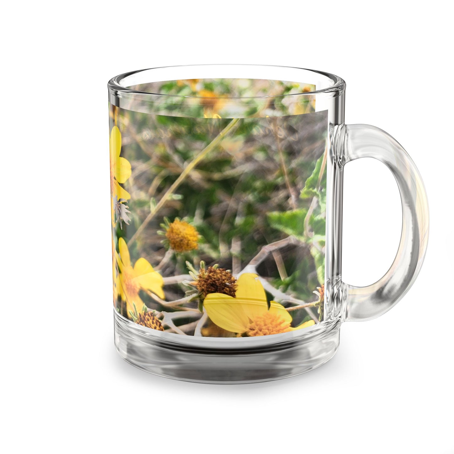Brittlebush Bloom Glass Mug - In Bloom Collection, 10oz