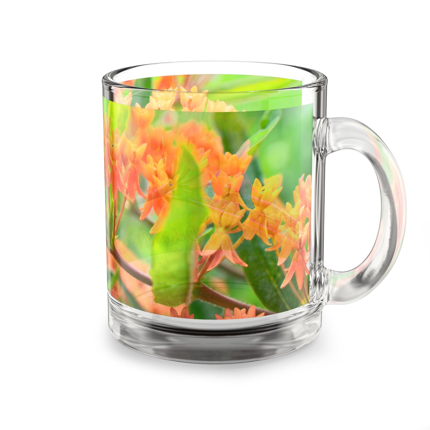Butterfly Milkweed Glass Mug- In Bloom Collection - 10oz